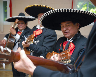 Mariachi musician